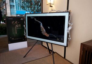 三星跨界故宮設計師開啟藝術(shù)生活,雙11電視刮宮廷風