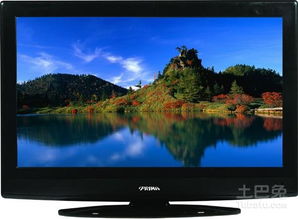 廈華保修條例介紹