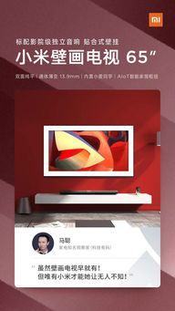 專業(yè)人士這樣評價小米小米壁畫電視 網(wǎng)友 難怪這么火爆